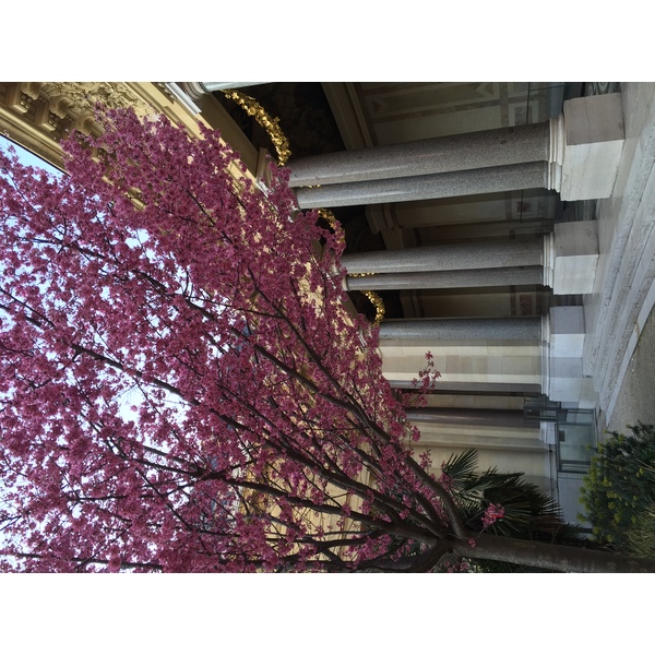 รูปถ่าย ฝรั่งเศส(France) ปารีส(Paris) ปตีปาเล(Petit Palais) 2016-03 6