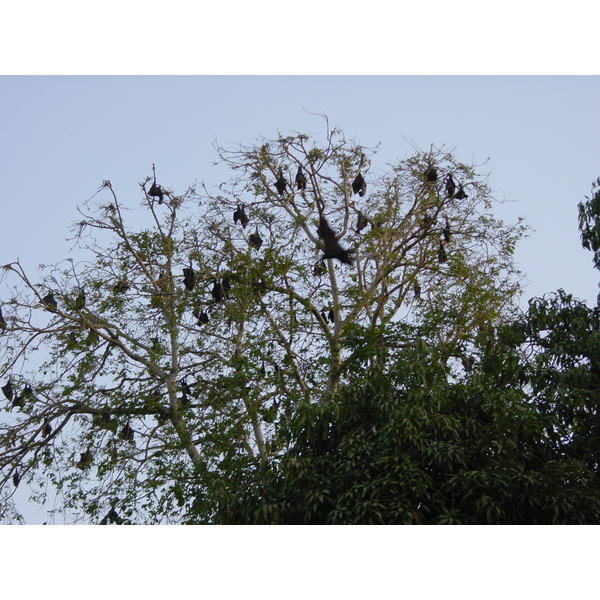 รูปถ่าย อินเดีย(India) อูไดปูร์(Udaipur) 2003-05 20