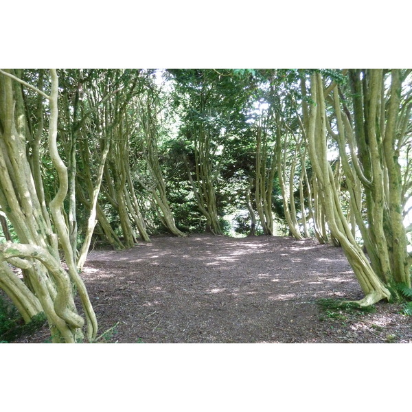 รูปถ่าย อังกฤษ(United Kingdom) สกอตแลนด์(Scotland) อารามอินช์มาโฮม(Inchmahome Priory) 2011-07 10