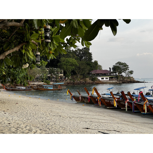 รูปถ่าย ไทย(Thailand) เกาะพีพีดอน(Ko Phi Phi Don) 2021-12 114