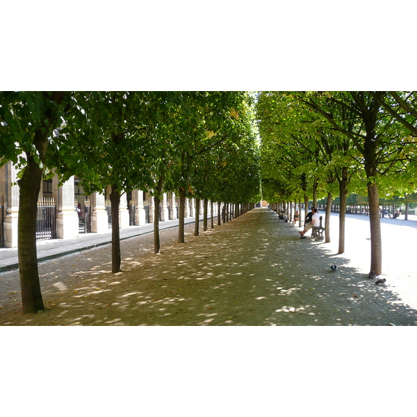 รูปถ่าย ฝรั่งเศส(France) ปารีส(Paris) พระราชวังปาแลรัวยาล(Palais Royal) 2007-08 16