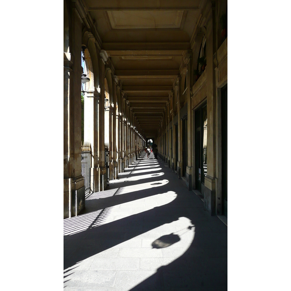 รูปถ่าย ฝรั่งเศส(France) ปารีส(Paris) พระราชวังปาแลรัวยาล(Palais Royal) 2007-08 4