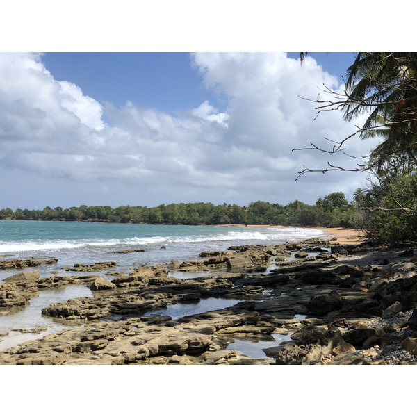 รูปถ่าย กวาเดอลูป(Guadeloupe) หาดกลูญี(Clugny Beach) 2021-02 14