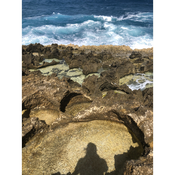 รูปถ่าย กวาเดอลูป(Guadeloupe) แหลมคาสเซิลพอยต์(Castle Point) 2021-02 180
