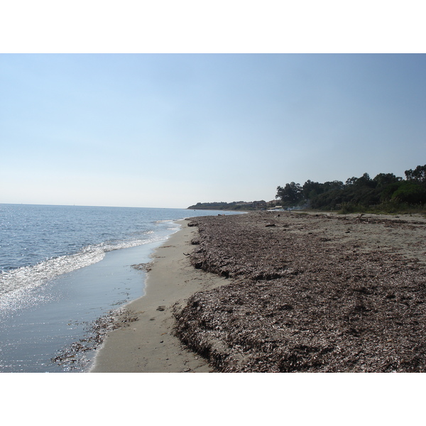 รูปถ่าย ฝรั่งเศส(France) คอร์สิคา(Corsica) วัลเล-ดาเลซานี(Valle d'alesani) 2006-09 138