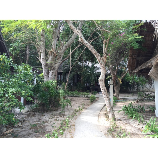รูปถ่าย ไทย(Thailand) เกาะเสม็ด(Ko Samet) 2014-12 39