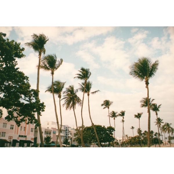 รูปถ่าย สหรัฐอเมริกา(United States) ไมแอมีบีช(Miami Beach) 1991-11 10