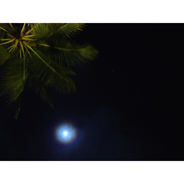 รูปถ่าย ไทย(Thailand) เขาหลัก(Khao Lak) โรงแรมเลอเมอริเดียน เขาหลัก(Meridien Khao Lak Hotel) 2005-12 341