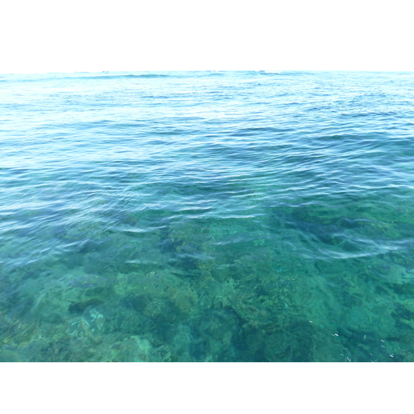 รูปถ่าย ฟิจิ(Fiji) เกาะแคสต์อะเวย์(Castaway Island) 2010-05 171