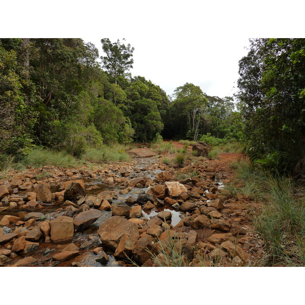 รูปถ่าย นิวแคลิโดเนีย(New Caledonia) อุทยานริเวียร์เบลอ(Parc de la Riviere Bleue) 2010-05 126
