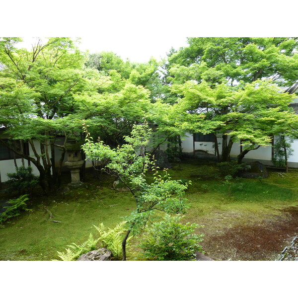 รูปถ่าย ญี่ปุ่น(Japan) เกียวโต(Kyoto) ตำหนักหลวงวัดนินนะจิ(Ninna ji imperial Residence) 2010-06 69
