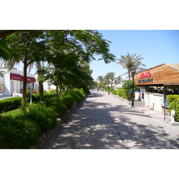 รูปถ่าย อียิปต์(Egypt) ชาร์มเอลชีค(Sharm el Sheikh) 2008-06 2