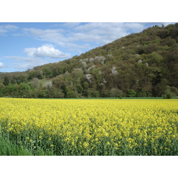 รูปถ่าย อังกฤษ(United Kingdom) หุบเขาไวย์(Wye Valley) 2006-05 47