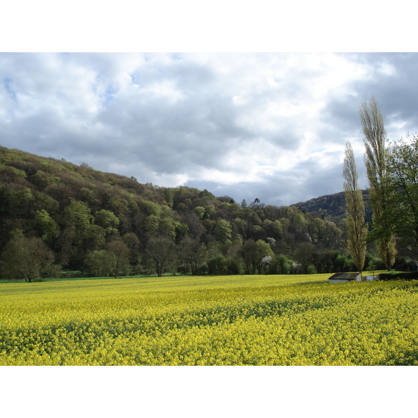 รูปถ่าย อังกฤษ(United Kingdom) หุบเขาไวย์(Wye Valley) 2006-05 51