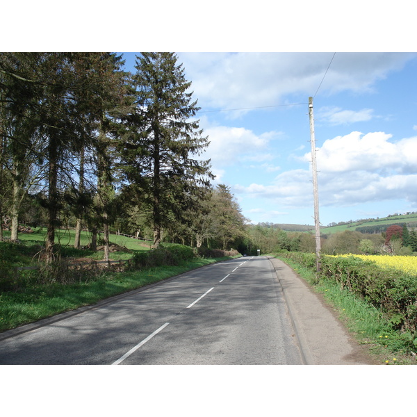 รูปถ่าย อังกฤษ(United Kingdom) หุบเขาไวย์(Wye Valley) 2006-05 40