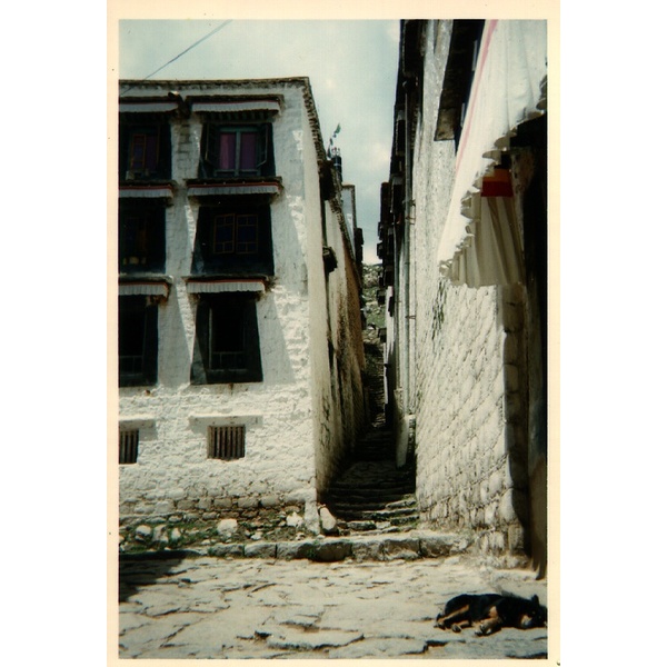รูปถ่าย ทิเบต(Tibet) 1994-07 1