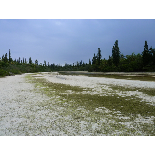 รูปถ่าย นิวแคลิโดเนีย(New Caledonia) เกาะต้นสน(Ile des pins) อ่าวโอโร(Oro Bay) 2010-05 40