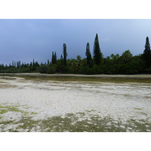 รูปถ่าย นิวแคลิโดเนีย(New Caledonia) เกาะต้นสน(Ile des pins) อ่าวโอโร(Oro Bay) 2010-05 37