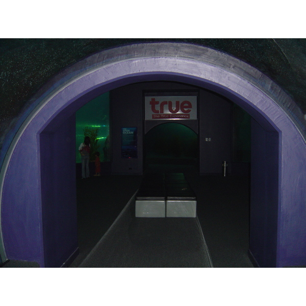 รูปถ่าย ไทย(Thailand) กรุงเทพมหานคร(Bangkok) สยามโอเชียนเวิลด์(Siam Ocean World) 2005-12 12