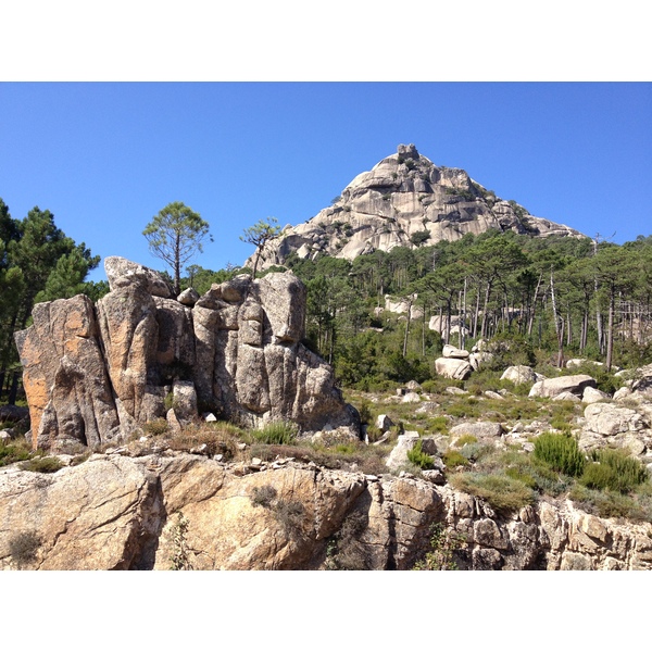 รูปถ่าย ฝรั่งเศส(France) คอร์สิคา(Corsica) ป่าลอสเปดาเล(L'ospedale Forest) 2012-09 43