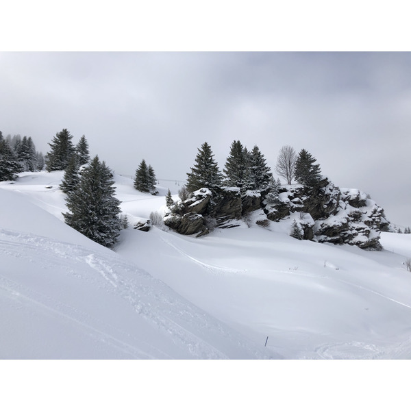 รูปถ่าย ฝรั่งเศส(France) ปรา-ซูร์-อาร์ลี(Praz sur Arly) 2019-12 292