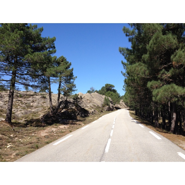 รูปถ่าย ฝรั่งเศส(France) คอร์สิคา(Corsica) ป่าลอสเปดาเล(L'ospedale Forest) 2012-09 36