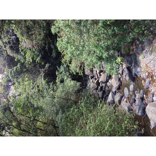 รูปถ่าย ปานามา(Panama) โบเกเต(Boquete) 2015-03 104
