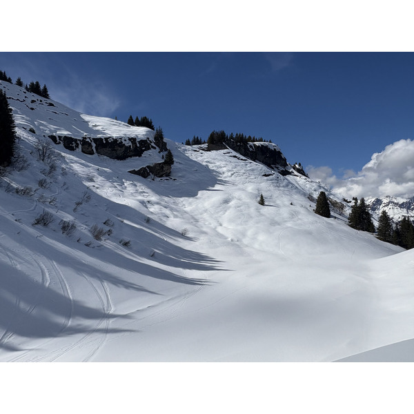 รูปถ่าย ฝรั่งเศส(France) ปรา-ซูร์-อาร์ลี(Praz sur Arly) 2025-02 99