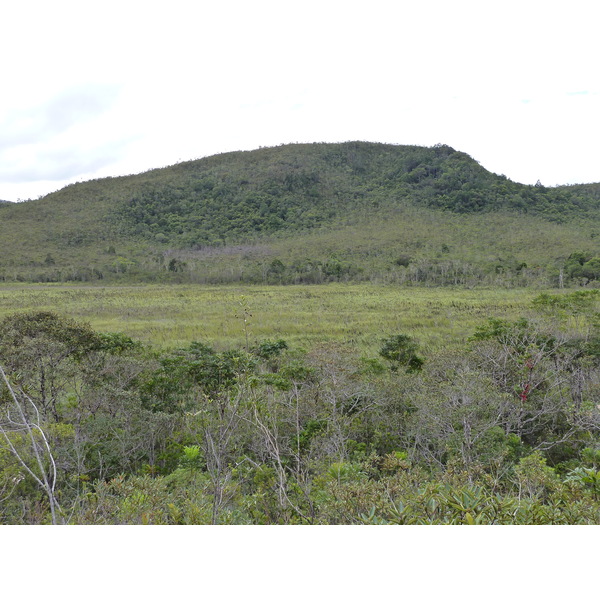 รูปถ่าย นิวแคลิโดเนีย(New Caledonia) อุทยานริเวียร์เบลอ(Parc de la Riviere Bleue) 2010-05 78