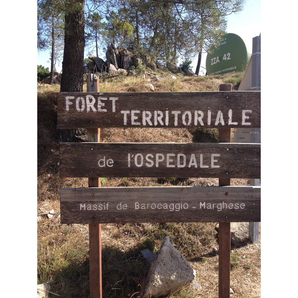 รูปถ่าย ฝรั่งเศส(France) คอร์สิคา(Corsica) ป่าลอสเปดาเล(L'ospedale Forest) 2012-09 67