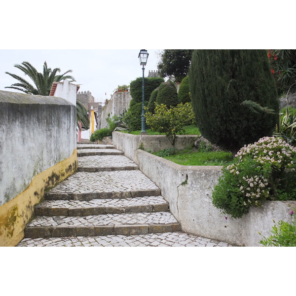 รูปถ่าย โปรตุเกส(Portugal) โอบีโดส(Obidos) 2013-01 18