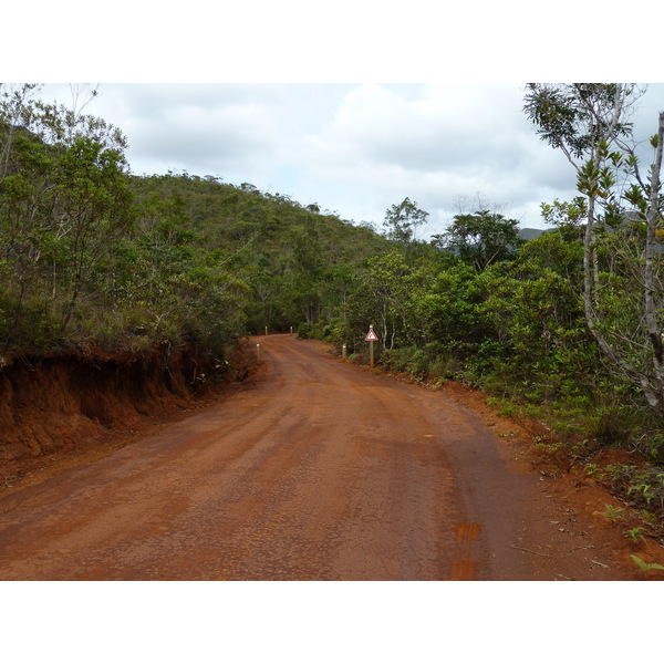 รูปถ่าย นิวแคลิโดเนีย(New Caledonia) อุทยานริเวียร์เบลอ(Parc de la Riviere Bleue) 2010-05 143
