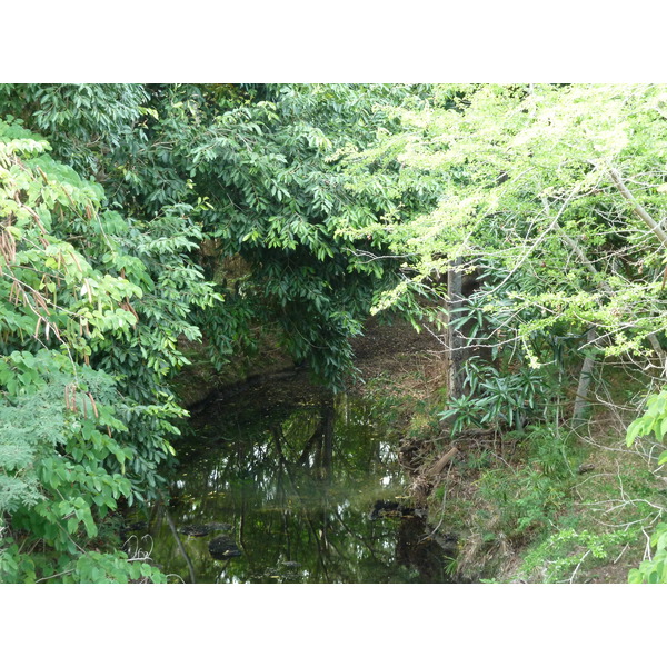 รูปถ่าย นิวแคลิโดเนีย(New Caledonia) ถนนจากตงตูตาไปทีโอ(Tontouta to Thio road) 2010-05 55