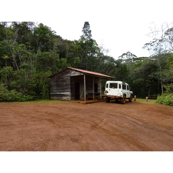 รูปถ่าย นิวแคลิโดเนีย(New Caledonia) อุทยานริเวียร์เบลอ(Parc de la Riviere Bleue) 2010-05 128