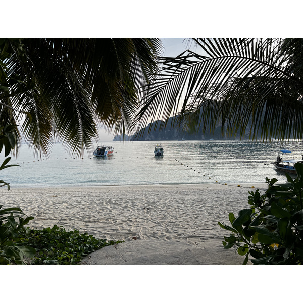 รูปถ่าย ไทย(Thailand) เกาะพีพีดอน(Ko Phi Phi Don) 2021-12 55