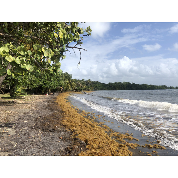 รูปถ่าย กวาเดอลูป(Guadeloupe) หาดวียาร์(Viard Beach) 2021-02 2