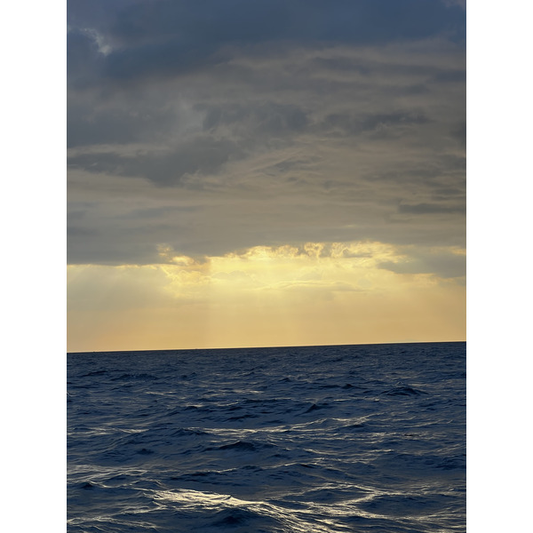 รูปถ่าย ไทย(Thailand) เกาะพีพีดอน(Ko Phi Phi Don) 2021-12 41
