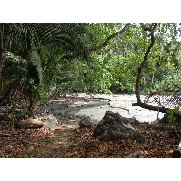 รูปถ่าย คอสตาริกา(Costa Rica) มอนเตซูมา(Montezuma) 2015-03 306