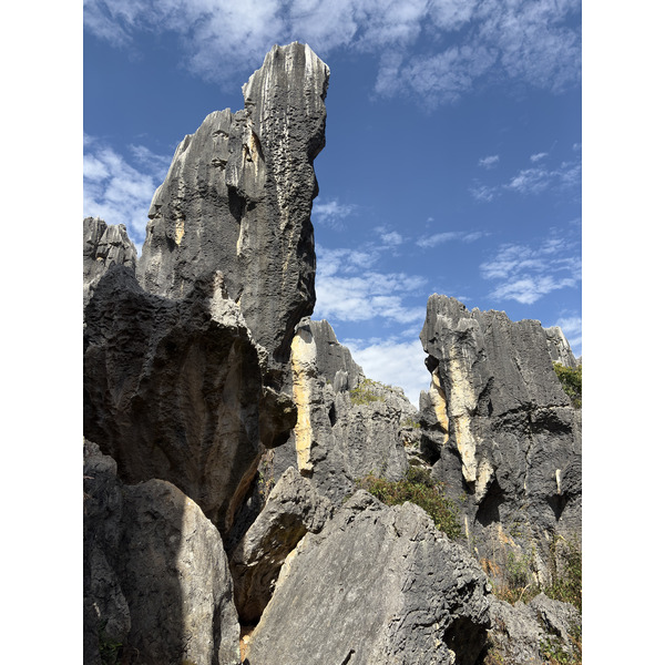 รูปถ่าย จีน(China) ป่าหินสือหลิน(Shilin Stone Forest) 2026-01 116