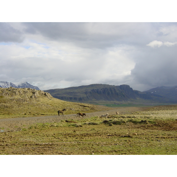 รูปถ่าย ไอซ์แลนด์(Iceland) ถนนหมายเลข 36, 52 และ 50(road 36, 52 and 50) 2003-06 9