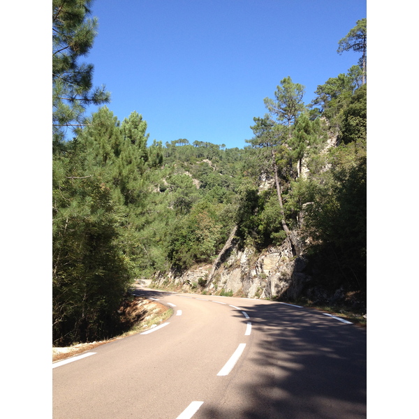 รูปถ่าย ฝรั่งเศส(France) คอร์สิคา(Corsica) ป่าลอสเปดาเล(L'ospedale Forest) 2012-09 47