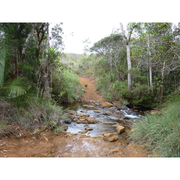 รูปถ่าย นิวแคลิโดเนีย(New Caledonia) อุทยานริเวียร์เบลอ(Parc de la Riviere Bleue) 2010-05 21