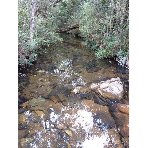 รูปถ่าย นิวแคลิโดเนีย(New Caledonia) อุทยานริเวียร์เบลอ(Parc de la Riviere Bleue) 2010-05 41
