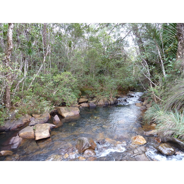 รูปถ่าย นิวแคลิโดเนีย(New Caledonia) อุทยานริเวียร์เบลอ(Parc de la Riviere Bleue) 2010-05 65