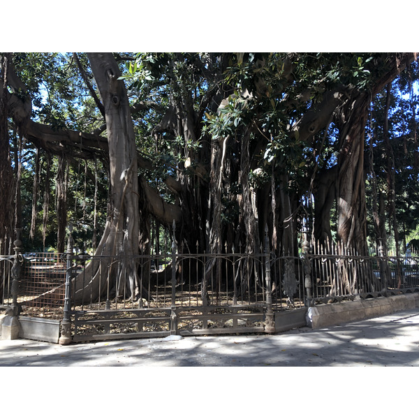 รูปถ่าย อิตาลี(Italy) ซิซิลี(Sicily) ปาแลร์โม(Palermo) 2020-02 27