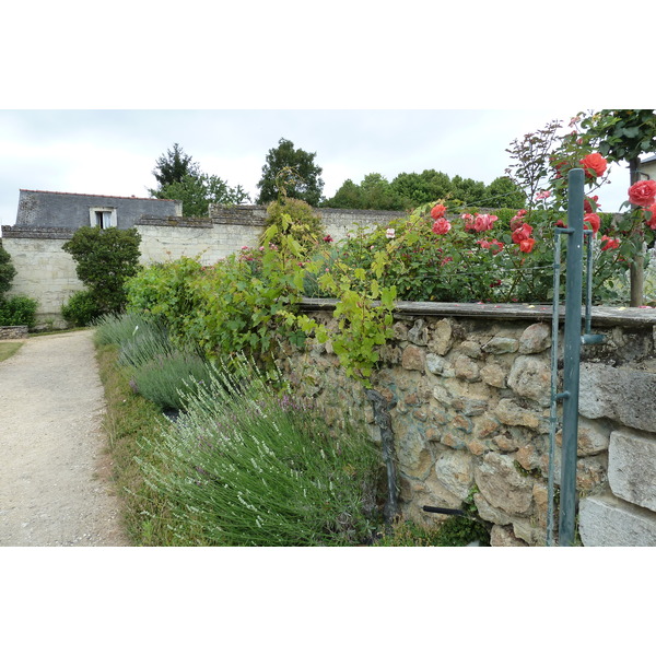 รูปถ่าย ฝรั่งเศส(France) ฟงเตอโวร์(Fontevraud) 2011-05 107