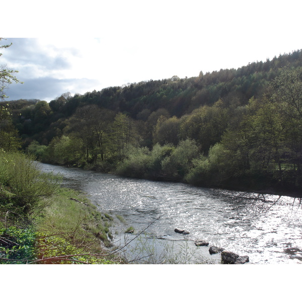 รูปถ่าย อังกฤษ(United Kingdom) หุบเขาไวย์(Wye Valley) 2006-05 58