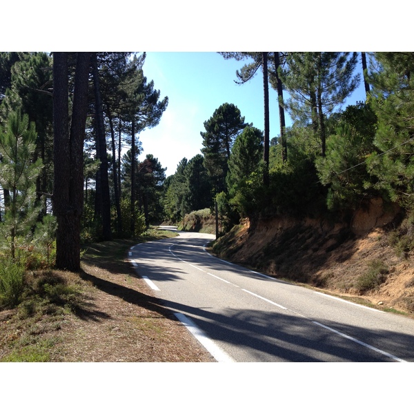 รูปถ่าย ฝรั่งเศส(France) คอร์สิคา(Corsica) ซอนซา(Zonza) 2012-09 0
