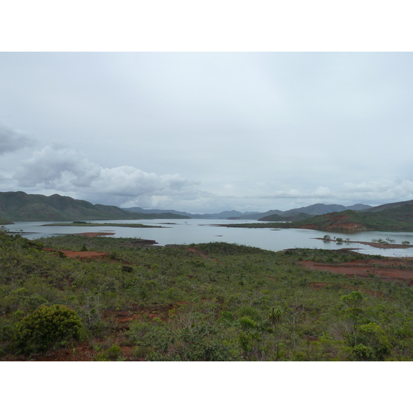 รูปถ่าย นิวแคลิโดเนีย(New Caledonia) อุทยานริเวียร์เบลอ(Parc de la Riviere Bleue) 2010-05 123