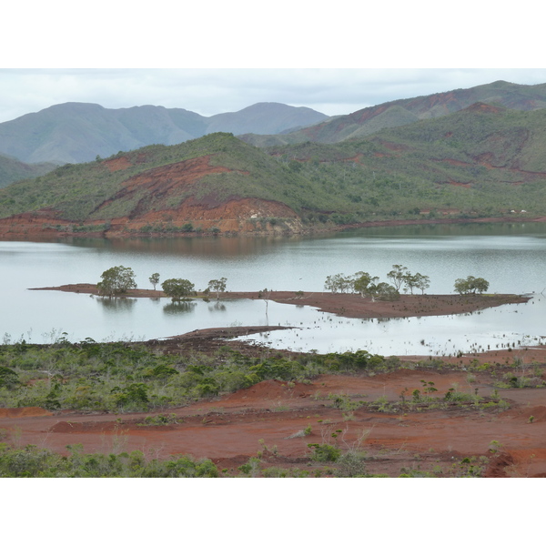 รูปถ่าย นิวแคลิโดเนีย(New Caledonia) อุทยานริเวียร์เบลอ(Parc de la Riviere Bleue) 2010-05 129